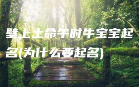 壁上土命午时牛宝宝起名(为什么要起名)