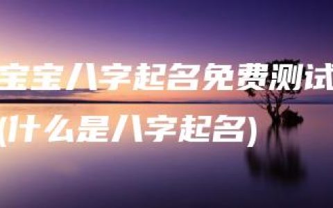 宝宝八字起名免费测试(什么是八字起名)