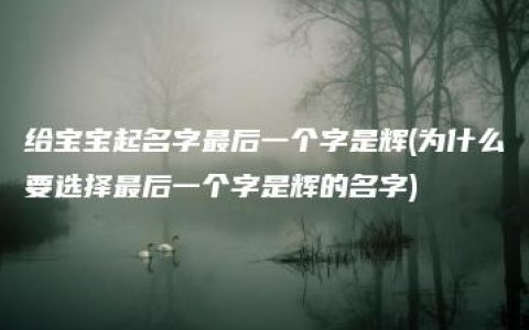 给宝宝起名字最后一个字是辉(为什么要选择最后一个字是辉的名字)