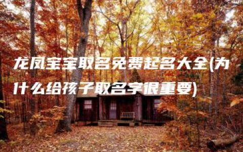 龙凤宝宝取名免费起名大全(为什么给孩子取名字很重要)