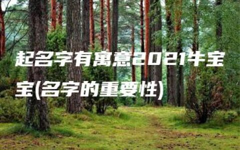 起名字有寓意2021牛宝宝(名字的重要性)