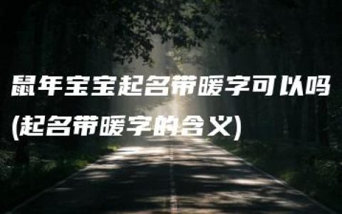 鼠年宝宝起名带暖字可以吗(起名带暖字的含义)