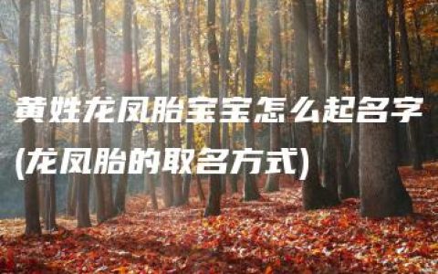 黄姓龙凤胎宝宝怎么起名字(龙凤胎的取名方式)