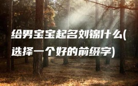 给男宝宝起名刘锦什么(选择一个好的前缀字)