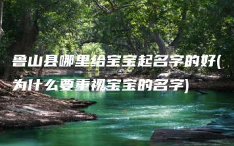 鲁山县哪里给宝宝起名字的好(为什么要重视宝宝的名字)