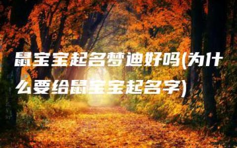 鼠宝宝起名梦迪好吗(为什么要给鼠宝宝起名字)