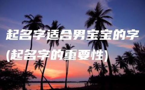 起名字适合男宝宝的字(起名字的重要性)