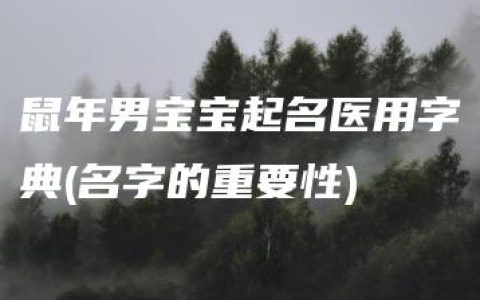 鼠年男宝宝起名医用字典(名字的重要性)