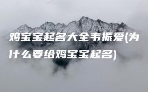 鸡宝宝起名大全韦振爱(为什么要给鸡宝宝起名)