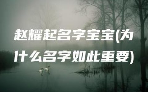 赵耀起名字宝宝(为什么名字如此重要)