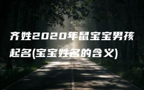 齐姓2020年鼠宝宝男孩起名(宝宝姓名的含义)