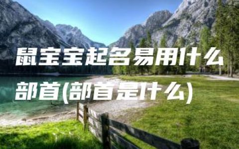 鼠宝宝起名易用什么部首(部首是什么)