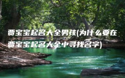 贾宝宝起名大全男孩(为什么要在贾宝宝起名大全中寻找名字)