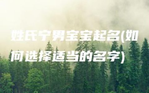 姓氏宁男宝宝起名(如何选择适当的名字)