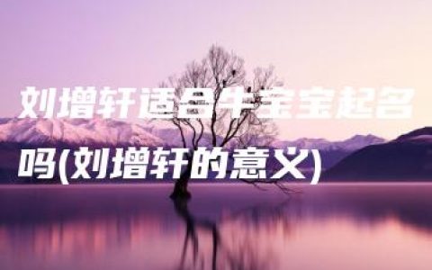 刘增轩适合牛宝宝起名吗(刘增轩的意义)