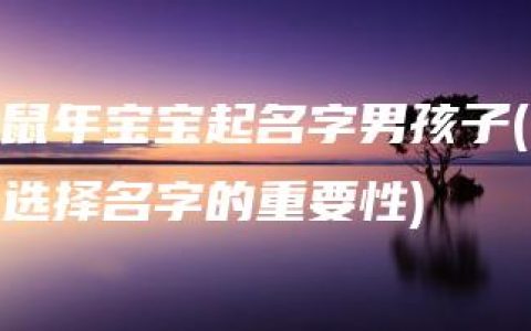 鼠年宝宝起名字男孩子(选择名字的重要性)