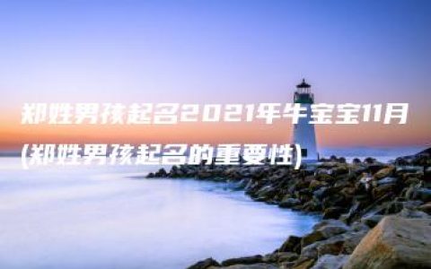 郑姓男孩起名2021年牛宝宝11月(郑姓男孩起名的重要性)