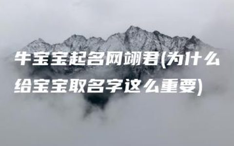 牛宝宝起名网翊君(为什么给宝宝取名字这么重要)