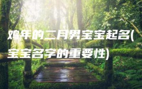 鸡年的二月男宝宝起名(宝宝名字的重要性)