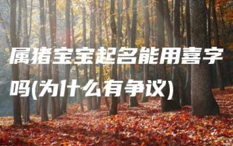 属猪宝宝起名能用喜字吗(为什么有争议)