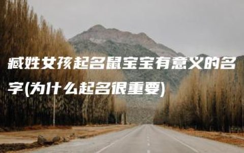 臧姓女孩起名鼠宝宝有意义的名字(为什么起名很重要)