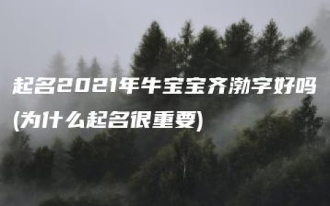 起名2021年牛宝宝齐渤字好吗(为什么起名很重要)