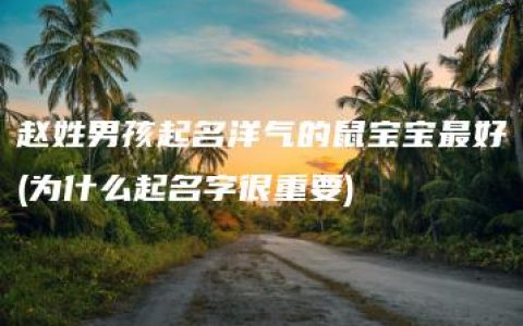 赵姓男孩起名洋气的鼠宝宝最好(为什么起名字很重要)