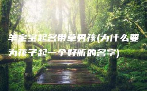 羊宝宝起名带草男孩(为什么要为孩子起一个好听的名字)