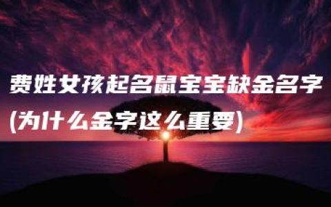 费姓女孩起名鼠宝宝缺金名字(为什么金字这么重要)