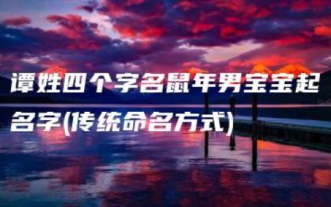 谭姓四个字名鼠年男宝宝起名字(传统命名方式)