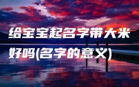 给宝宝起名字带大米好吗(名字的意义)