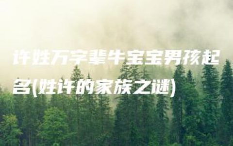 许姓万字辈牛宝宝男孩起名(姓许的家族之谜)