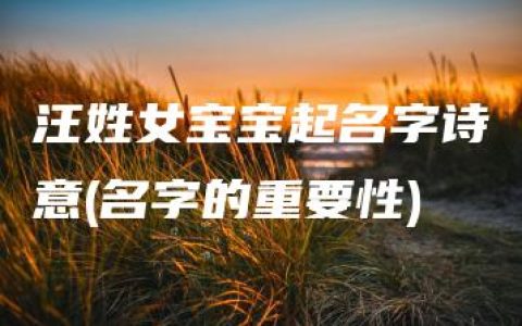 汪姓女宝宝起名字诗意(名字的重要性)