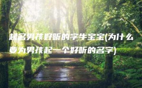 起名男孩好听的字牛宝宝(为什么要为男孩起一个好听的名字)