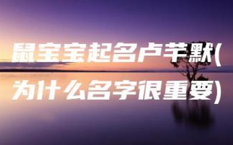 鼠宝宝起名卢芊默(为什么名字很重要)