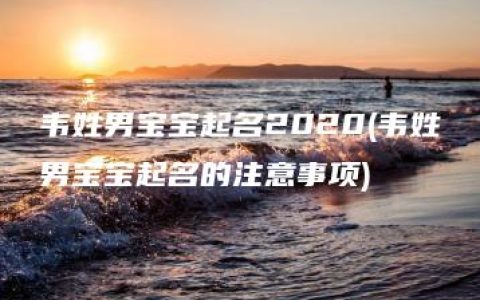 韦姓男宝宝起名2020(韦姓男宝宝起名的注意事项)