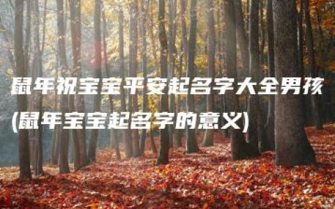 鼠年祝宝宝平安起名字大全男孩(鼠年宝宝起名字的意义)