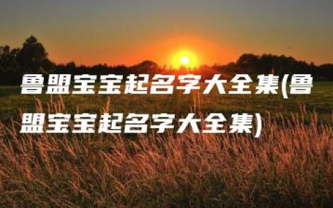 鲁盟宝宝起名字大全集(鲁盟宝宝起名字大全集)