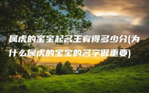 属虎的宝宝起名王宥得多少分(为什么属虎的宝宝的名字很重要)