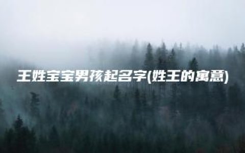 王姓宝宝男孩起名字(姓王的寓意)