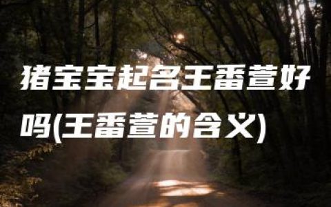 猪宝宝起名王番萱好吗(王番萱的含义)