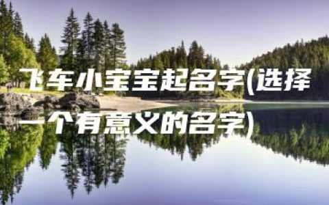 飞车小宝宝起名字(选择一个有意义的名字)