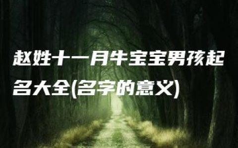 赵姓十一月牛宝宝男孩起名大全(名字的意义)