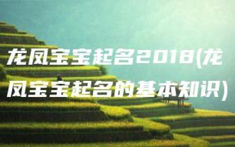 龙凤宝宝起名2018(龙凤宝宝起名的基本知识)