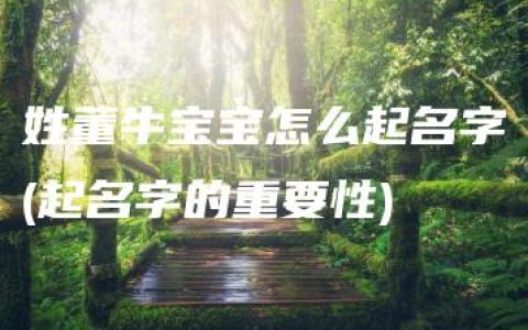 姓董牛宝宝怎么起名字(起名字的重要性)