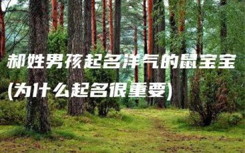 郝姓男孩起名洋气的鼠宝宝(为什么起名很重要)