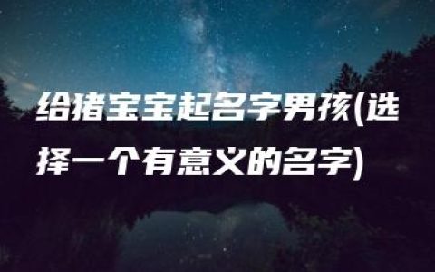 给猪宝宝起名字男孩(选择一个有意义的名字)