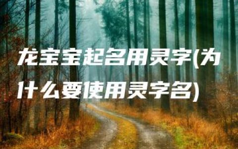 龙宝宝起名用灵字(为什么要使用灵字名)