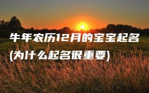 牛年农历12月的宝宝起名(为什么起名很重要)