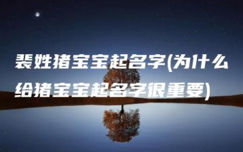 裴姓猪宝宝起名字(为什么给猪宝宝起名字很重要)